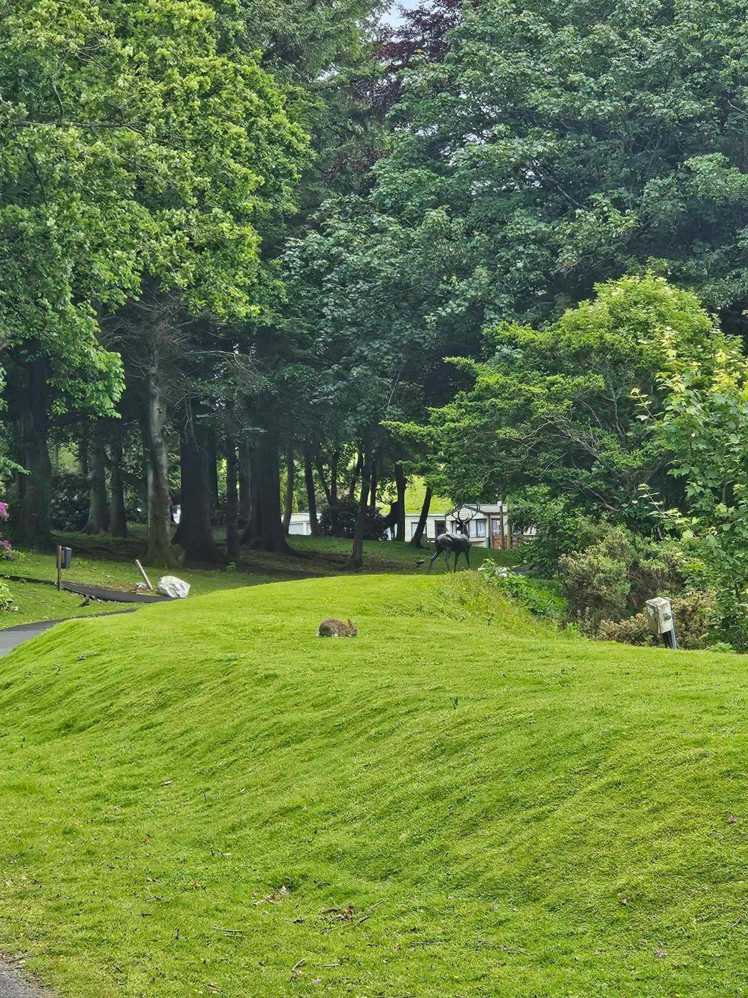 The Sunny Bunny Holiday Home Ballantrae Exterior foto